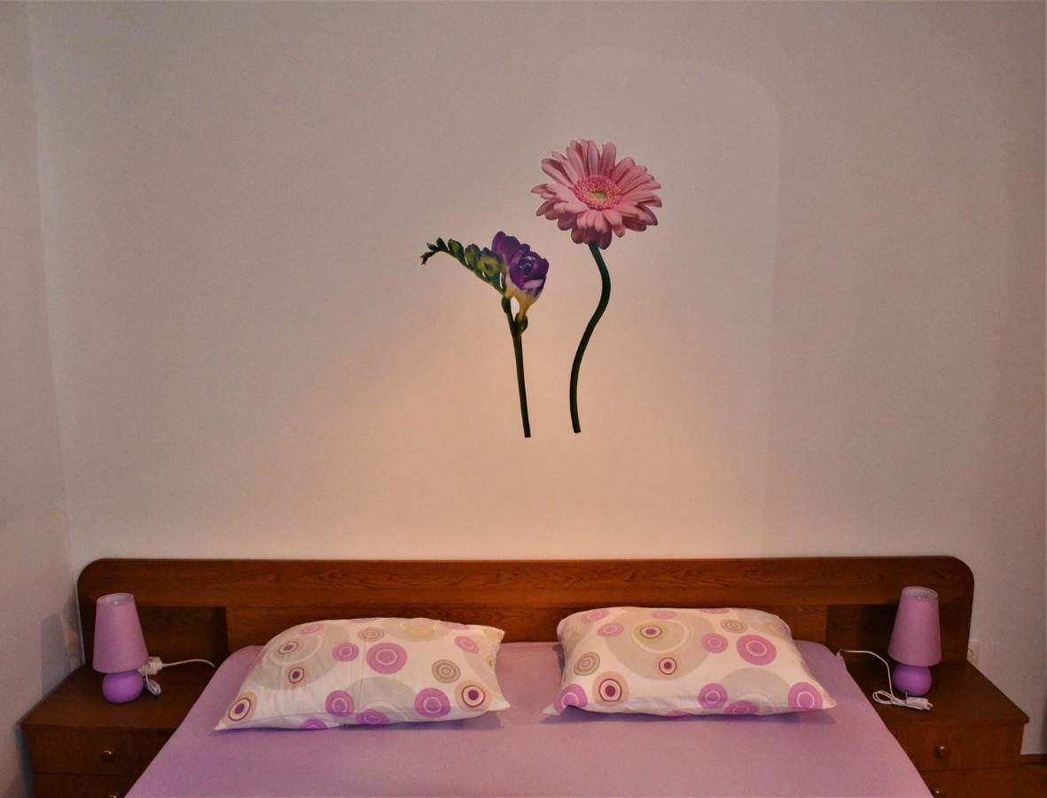 Apartman Rosa Pirovac Exterior photo